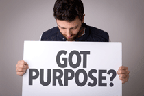 Got purpose WEB