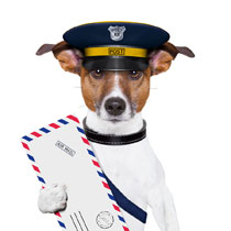 Postal-Dog-WEB